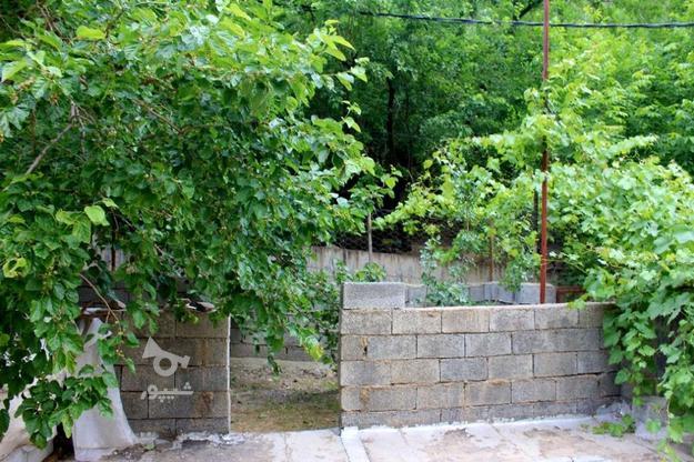 ویلا باغ هانه کوان کنار چشمه آب در گروه خرید و فروش املاک در کرمانشاه در شیپور-عکس1