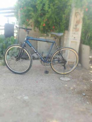 دوچرخه ی 26 سالم در گروه خرید و فروش ورزش فرهنگ فراغت در فارس در شیپور-عکس1
