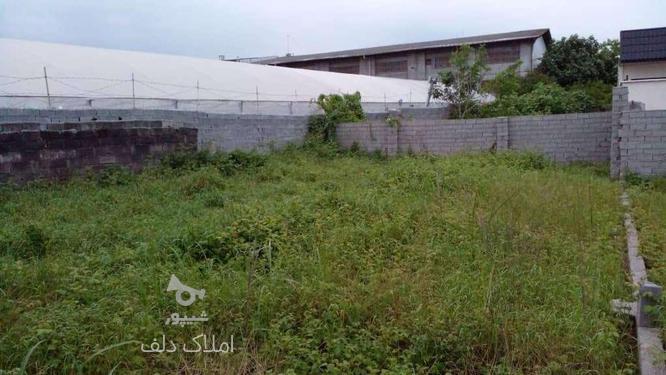 فروش زمین مسکونی 223 متر در میربازار در گروه خرید و فروش املاک در مازندران در شیپور-عکس1