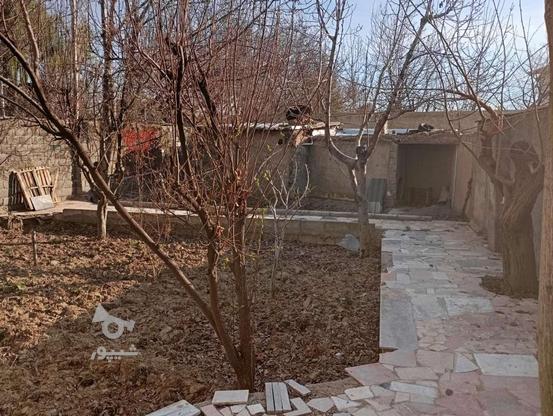 زمین اماده ساخت در گروه خرید و فروش املاک در البرز در شیپور-عکس1