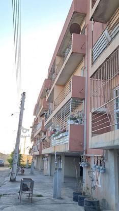 فروش آپارتمان نقلی قیمت بسیارمناسب در گروه خرید و فروش املاک در مازندران در شیپور-عکس1
