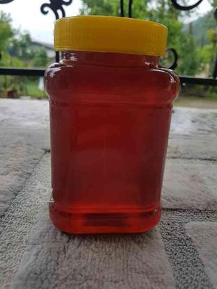 فروش عسل با موم و شیره عسل طبیعی و غیره طبیعی در گروه خرید و فروش خدمات و کسب و کار در گیلان در شیپور-عکس1