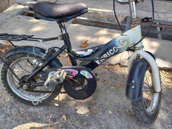 دوچرخه سالم 12 در گروه خرید و فروش ورزش فرهنگ فراغت در البرز در شیپور-عکس1