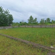 زمین کشاورزی 246 متر در مرکز شهر - چاف