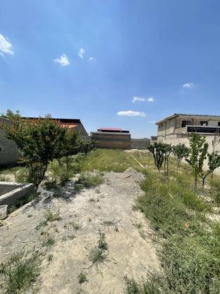 زمین اماده ساخت ویلا در گروه خرید و فروش املاک در البرز در شیپور-عکس1