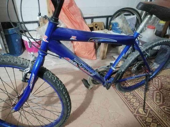 فروش دوچرخه 24 در گروه خرید و فروش ورزش فرهنگ فراغت در خراسان رضوی در شیپور-عکس1