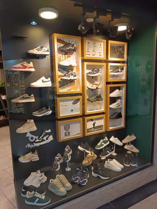 اجاره مغازه کفش وکتونی با دکور کامل و خاص(قیمت عالی) در گروه خرید و فروش املاک در مازندران در شیپور-عکس1