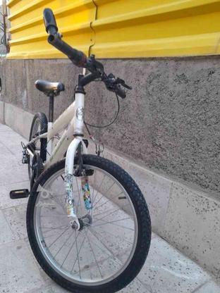 دوچرخه المپیا 20 در گروه خرید و فروش ورزش فرهنگ فراغت در تهران در شیپور-عکس1
