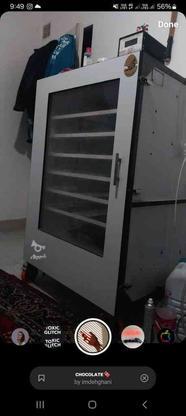 دستگاه جوجه کشی فاخته 1008تایی در گروه خرید و فروش صنعتی، اداری و تجاری در زنجان در شیپور-عکس1