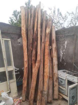 چوب سالم خوب در گروه خرید و فروش خدمات و کسب و کار در اردبیل در شیپور-عکس1