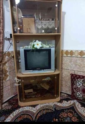تلوزیون پاناسونیک اصل در گروه خرید و فروش لوازم الکترونیکی در خوزستان در شیپور-عکس1