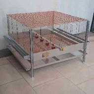 قفس مرغ بومی خانگی تخمگذار خروس بلدرچین کبک و جوجه