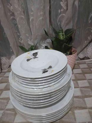 ظروف سرو غذا خوری برند توس در گروه خرید و فروش لوازم خانگی در تهران در شیپور-عکس1