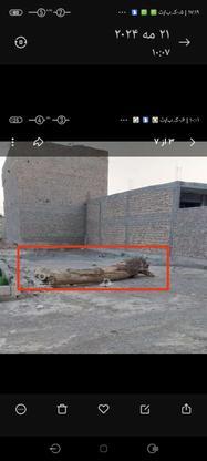 یک قواره زمین به متراژ 230متر در گروه خرید و فروش املاک در سیستان و بلوچستان در شیپور-عکس1