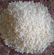 فروش برنج طارم هاشمی مستقیم از کشاورز