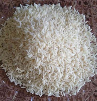 فروش برنج طارم هاشمی مستقیم از کشاورز بدون واسطه در گروه خرید و فروش خدمات و کسب و کار در مازندران در شیپور-عکس1