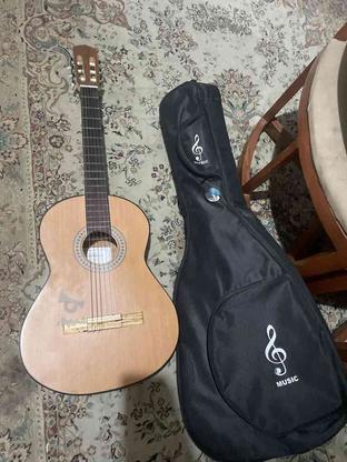 گیتار دالاهو نو نو در گروه خرید و فروش ورزش فرهنگ فراغت در فارس در شیپور-عکس1