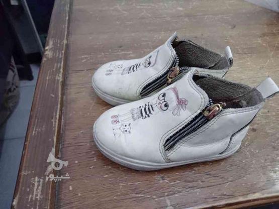 کفش بچه گانه در گروه خرید و فروش لوازم شخصی در چهارمحال و بختیاری در شیپور-عکس1