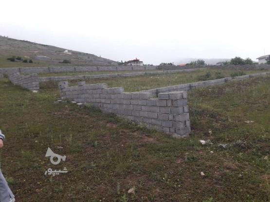 زمین دست اول 200 متری در گروه خرید و فروش املاک در مازندران در شیپور-عکس1