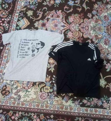 تعدادی پیراهن تیشرت هودی تدی در گروه خرید و فروش لوازم شخصی در تهران در شیپور-عکس1