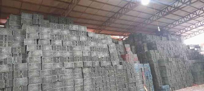 30 هزار تا سبد میوه جعبه میوه در گروه خرید و فروش خدمات و کسب و کار در مازندران در شیپور-عکس1