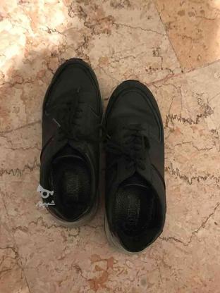 کفش برند مناسب برای همه جا در گروه خرید و فروش لوازم شخصی در تهران در شیپور-عکس1