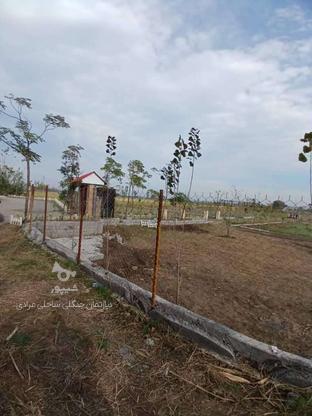 201 متر زمین با ویو ساحلی/زیر قیمت در گروه خرید و فروش املاک در مازندران در شیپور-عکس1