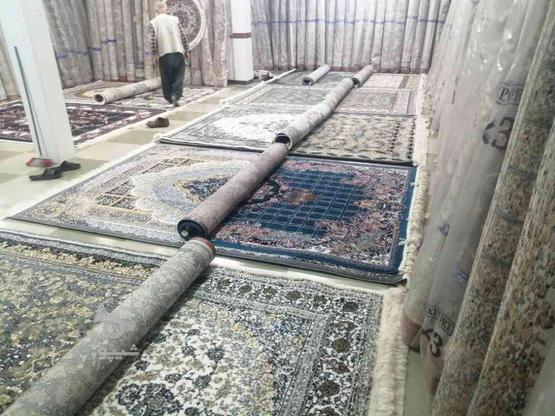 فرش های آکبند نصف قیمت تضمینی در گروه خرید و فروش لوازم خانگی در آذربایجان غربی در شیپور-عکس1
