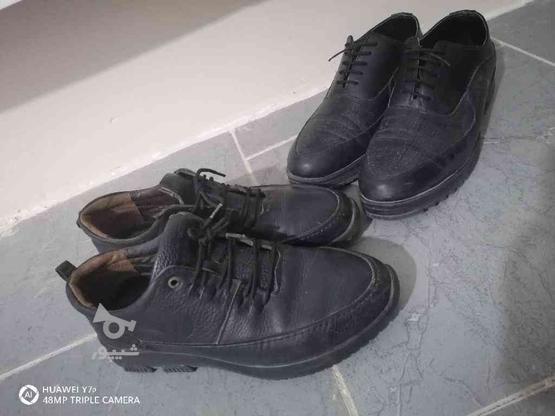 کفش چرم اسپرت در گروه خرید و فروش لوازم شخصی در خراسان رضوی در شیپور-عکس1