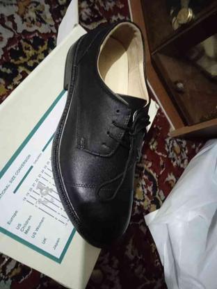 یک جفت کفش مردانه تمام چرم طبیعی در گروه خرید و فروش لوازم شخصی در آذربایجان غربی در شیپور-عکس1