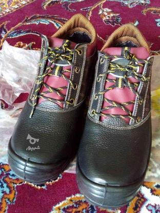 کفش ایمنی پاتن تبریز. سایز43 در گروه خرید و فروش صنعتی، اداری و تجاری در فارس در شیپور-عکس1