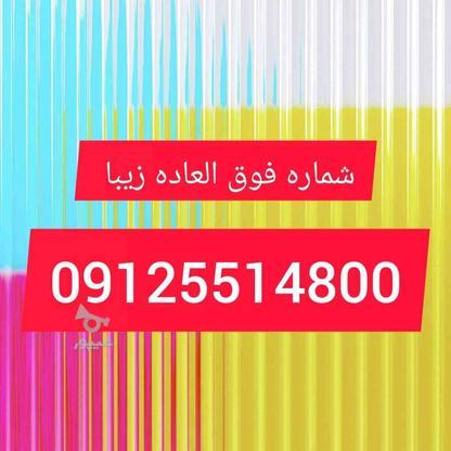 09125514800 در گروه خرید و فروش موبایل، تبلت و لوازم در قم در شیپور-عکس1