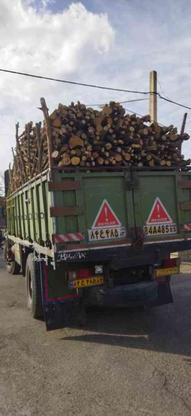 خریدار چوب و هرس درختان در گروه خرید و فروش خدمات و کسب و کار در فارس در شیپور-عکس1