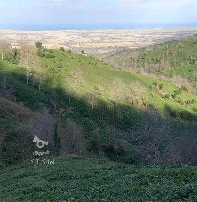 زمین 90000متری برای فروش واقع در فومن در گروه خرید و فروش املاک در گیلان در شیپور-عکس1