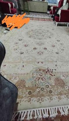 فرش 12متری 700شانه در گروه خرید و فروش لوازم خانگی در مازندران در شیپور-عکس1