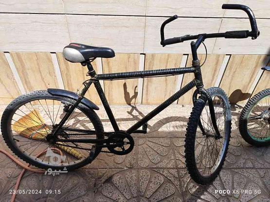دوچرخه 26 دماوند در گروه خرید و فروش ورزش فرهنگ فراغت در خراسان رضوی در شیپور-عکس1