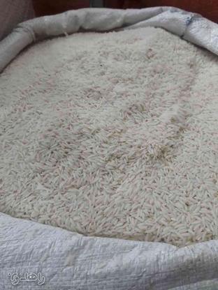 عرضه باکیفیت ترین برنج شمال در گروه خرید و فروش خدمات و کسب و کار در فارس در شیپور-عکس1