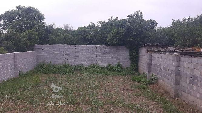  زمین مسکونی 130 متر در کوچکسرا مناسب ساخت در گروه خرید و فروش املاک در مازندران در شیپور-عکس1