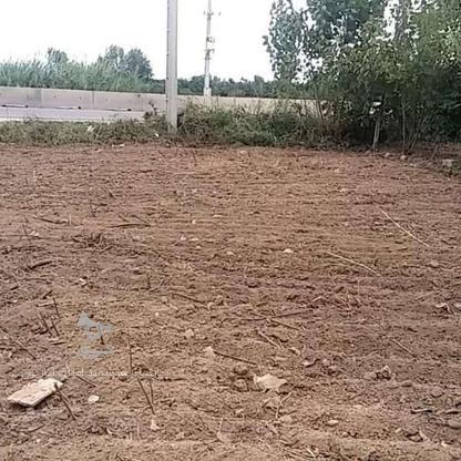 فروش زمین 1500 متر در جاده جویبار ابکسر  در گروه خرید و فروش املاک در مازندران در شیپور-عکس1