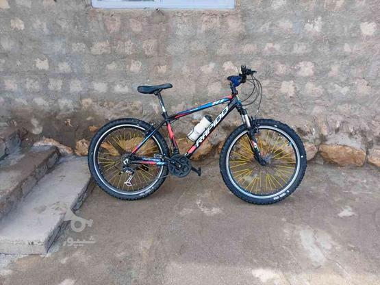دوچرخه 26راپیدو در گروه خرید و فروش ورزش فرهنگ فراغت در آذربایجان غربی در شیپور-عکس1