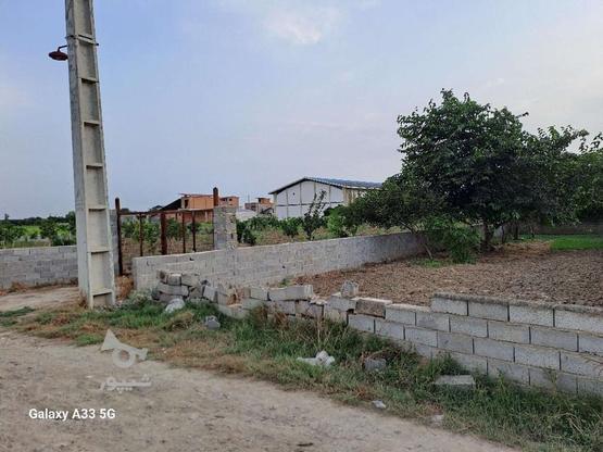 فروش یک قطعه زمین با موقعیت بالای سرمایه گذاری در شهر جوی در گروه خرید و فروش املاک در مازندران در شیپور-عکس1