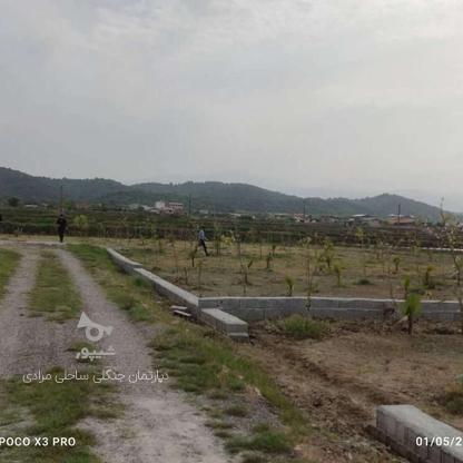 فروش زمین 100 متر در دشت سر اقساطی بدون سود و بهره در گروه خرید و فروش املاک در مازندران در شیپور-عکس1