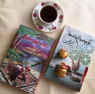 بیش از 200 جلد کتاب رمان داستان شعر فارسی انگلیسی