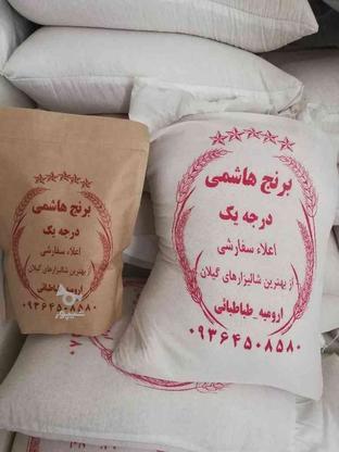 برنج هاشمی اصل آستانه در گروه خرید و فروش خدمات و کسب و کار در آذربایجان غربی در شیپور-عکس1