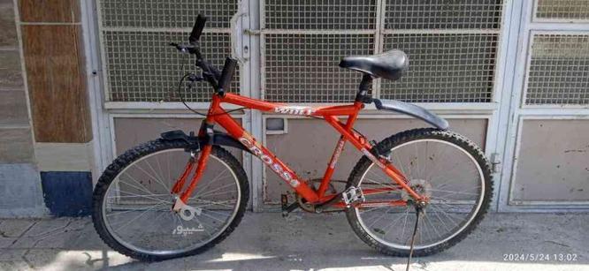 دوچرخه کروس 26  در گروه خرید و فروش ورزش فرهنگ فراغت در خراسان رضوی در شیپور-عکس1