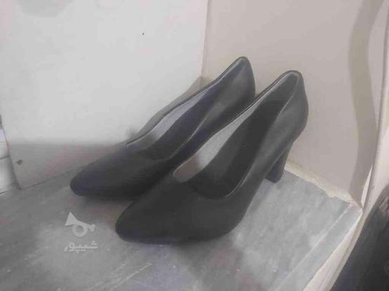 کفش زنانه سایز 39 در گروه خرید و فروش لوازم شخصی در آذربایجان غربی در شیپور-عکس1