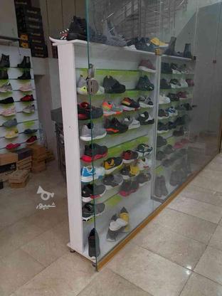 ویترین کفش و کتانی در گروه خرید و فروش صنعتی، اداری و تجاری در تهران در شیپور-عکس1