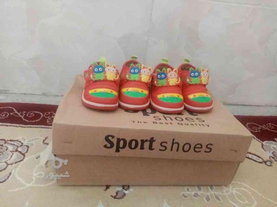 کفش نوزادی در گروه خرید و فروش لوازم شخصی در تهران در شیپور-عکس1