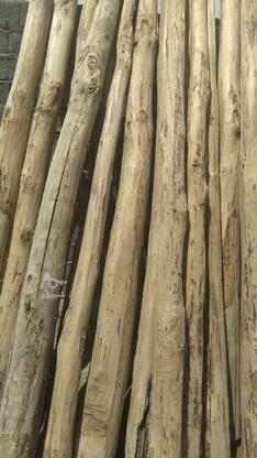 چوب کارکرده 4 متر در گروه خرید و فروش صنعتی، اداری و تجاری در کردستان در شیپور-عکس1