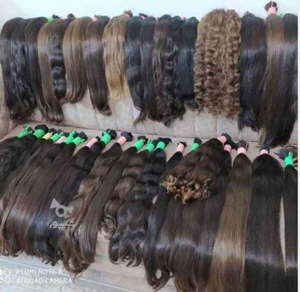 صادرکننده موی طبیعی در سراسر آذربایجان در گروه خرید و فروش لوازم شخصی در آذربایجان شرقی در شیپور-عکس1
